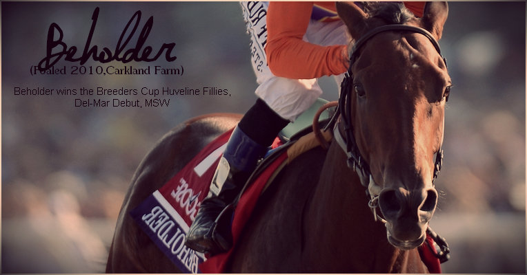 ო Black.Raven | Breeders Cup World Championship..In November 2-3